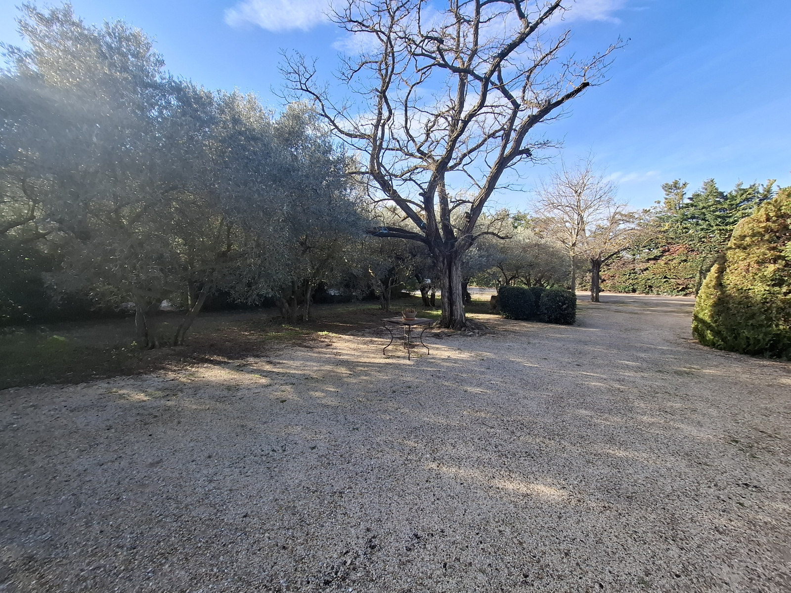 Image_3, Villa, Fontvieille, ref :L.2026.023