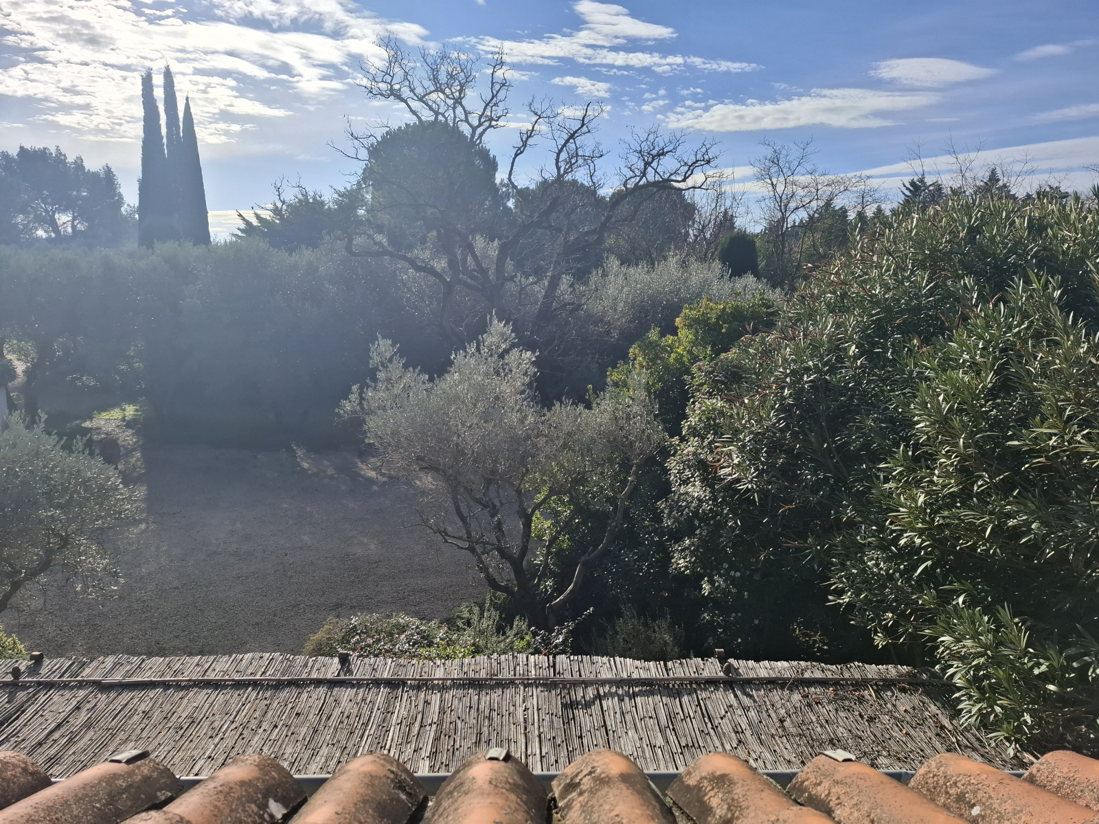 Image_23, Villa, Fontvieille, ref :L.2026.023