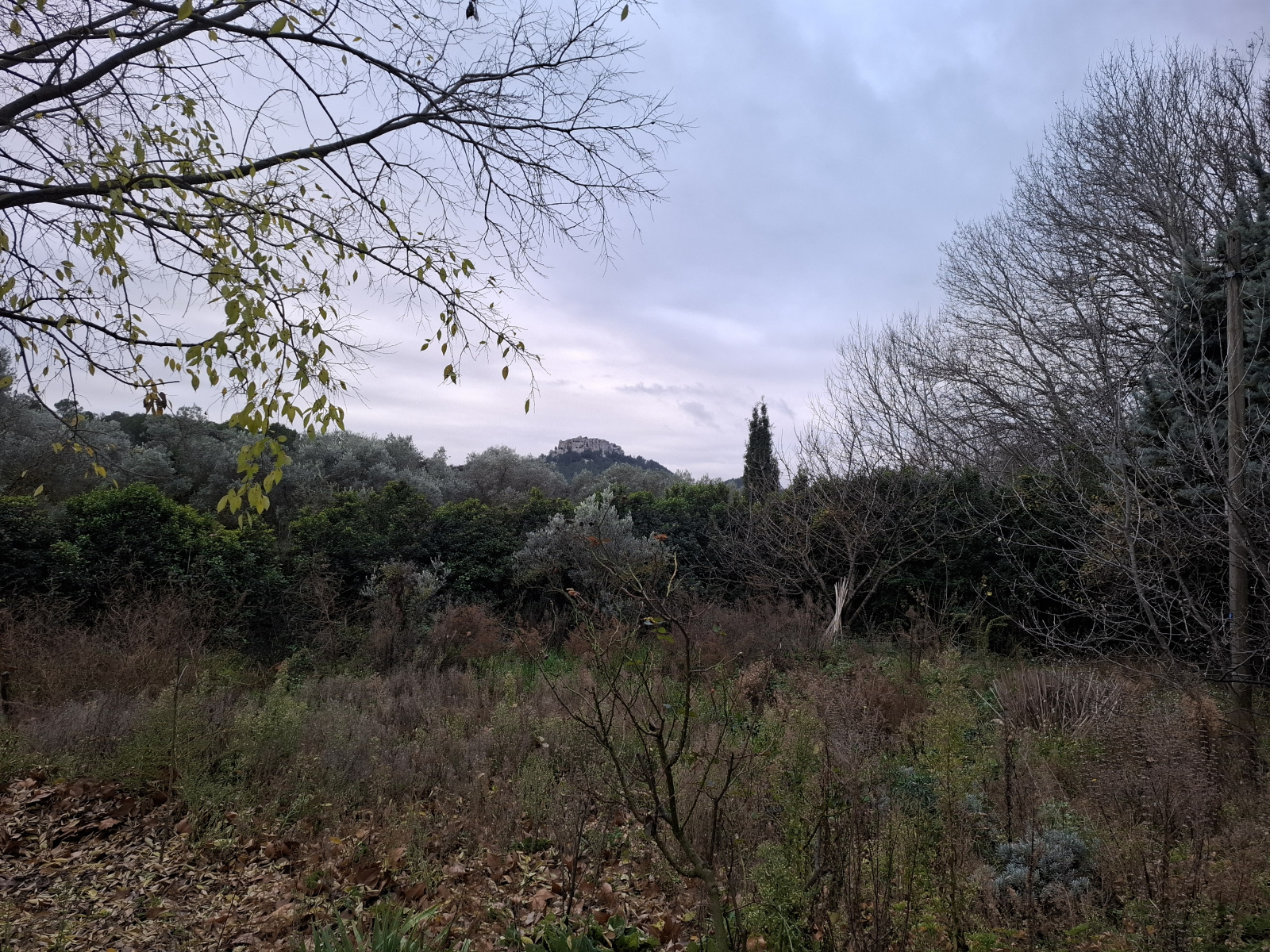 Image_3, Maison, Fontvieille, ref :L.2025.022