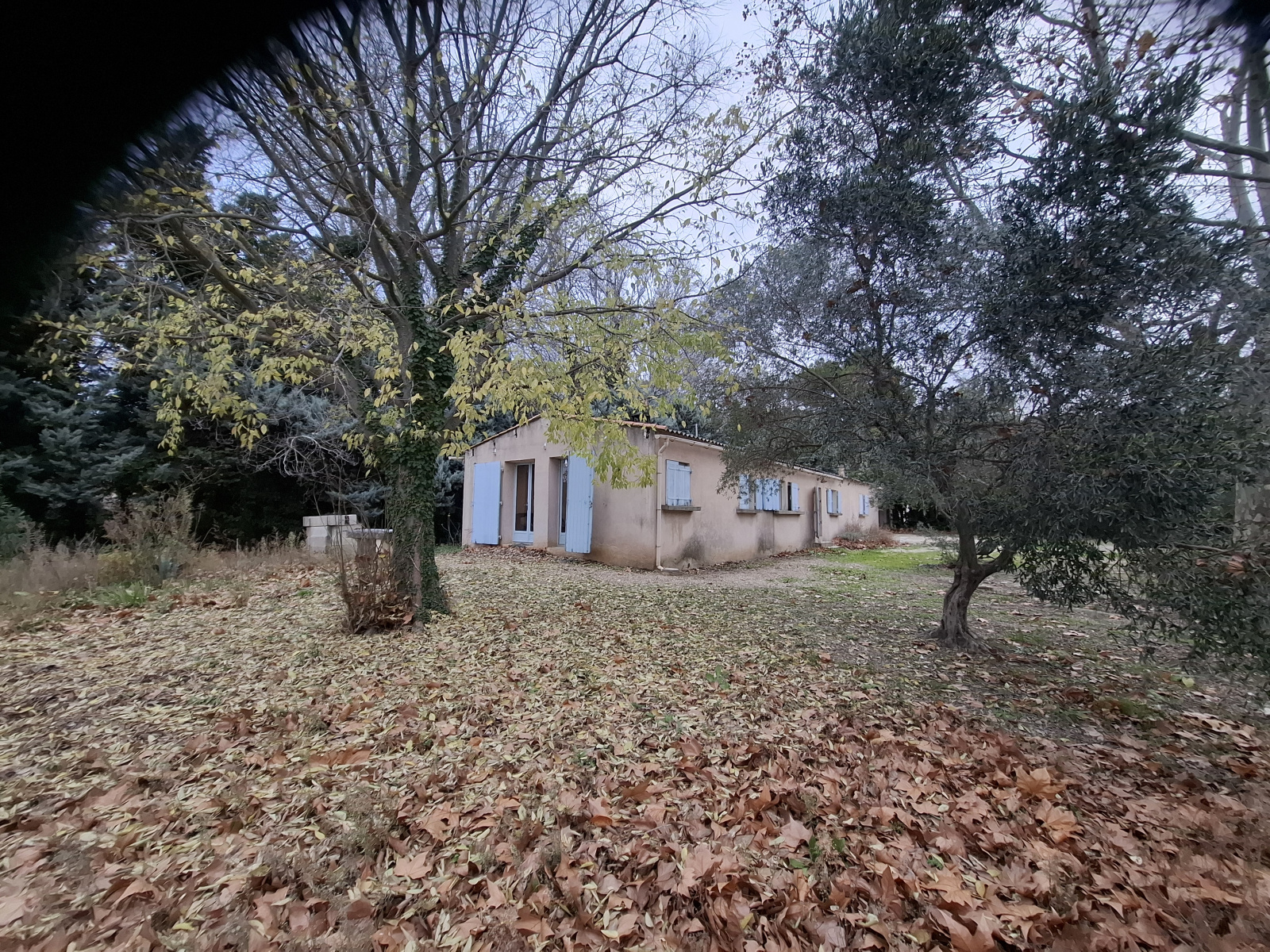 Image_1, Maison, Fontvieille, ref :L.2025.022