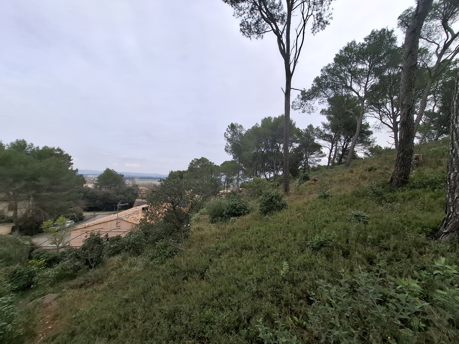 Image_6, Villa, Saint-Étienne-du-Grès, ref :2026.054