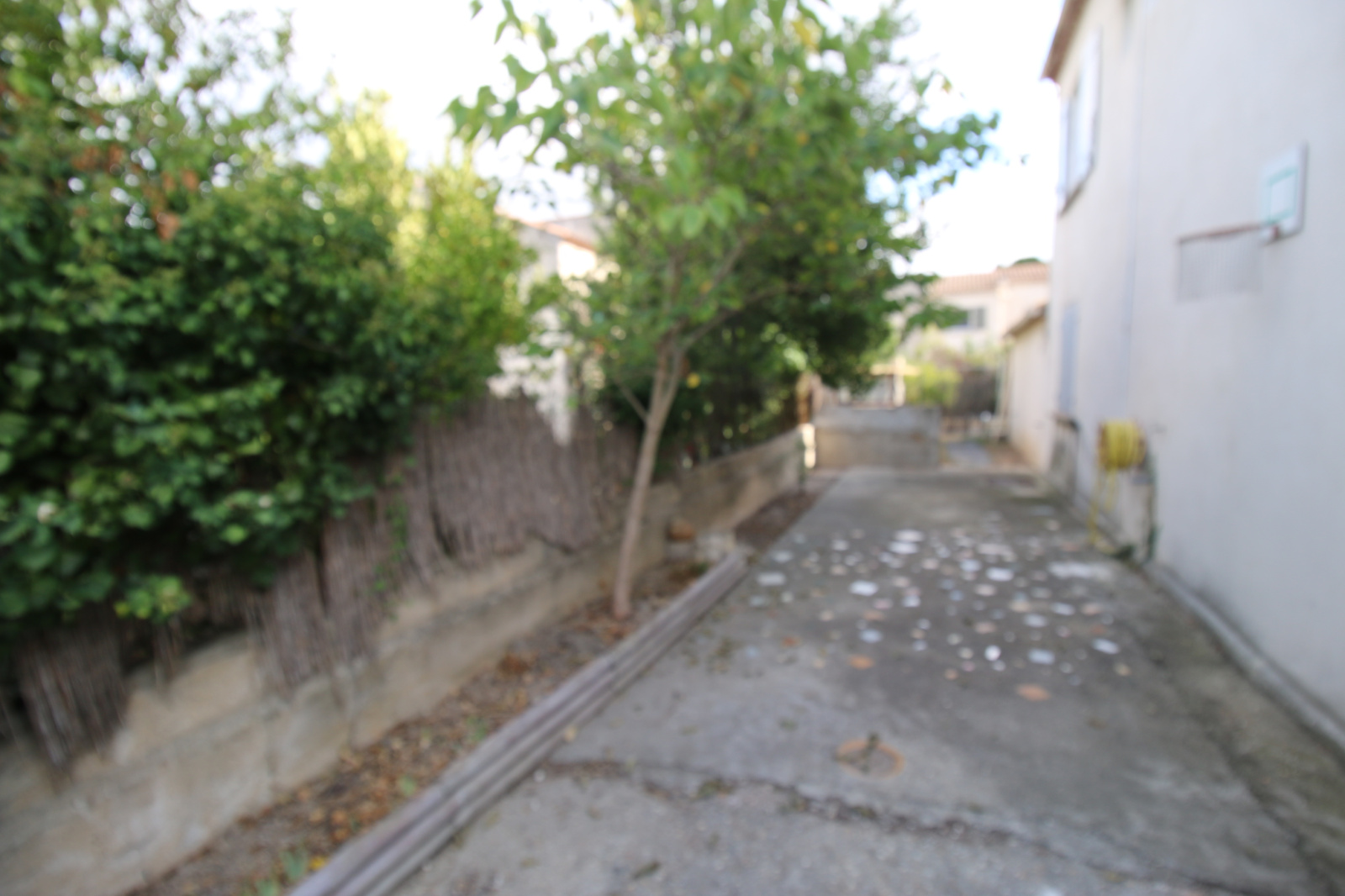 Image_20, Appartement, Fontvieille, ref :L.2023.006