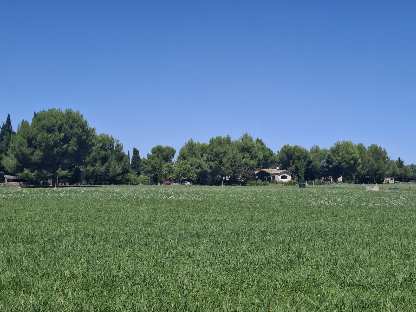 Image_6, Propriete, Fontvieille, ref :2026.067
