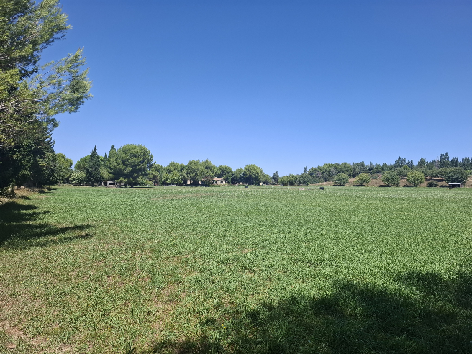 Image_7, Propriete, Fontvieille, ref :2026.067