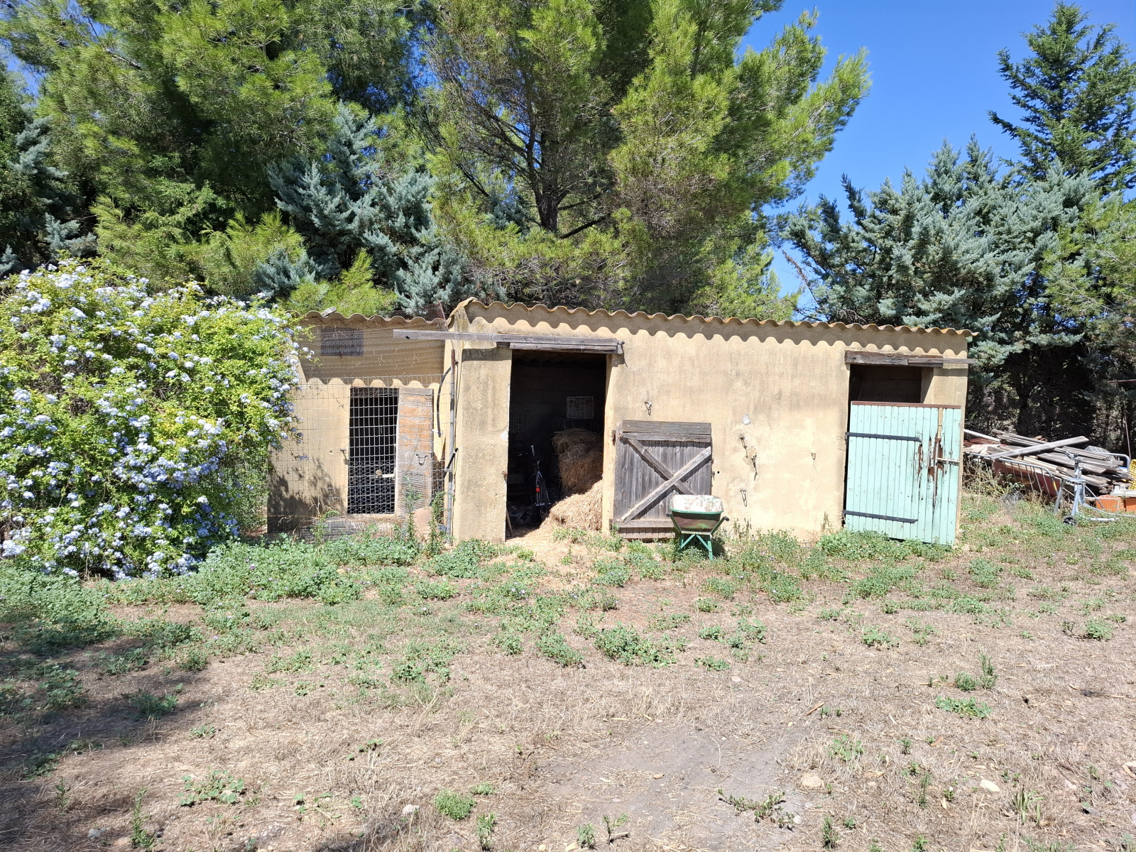 Image_38, Propriete, Fontvieille, ref :2026.067