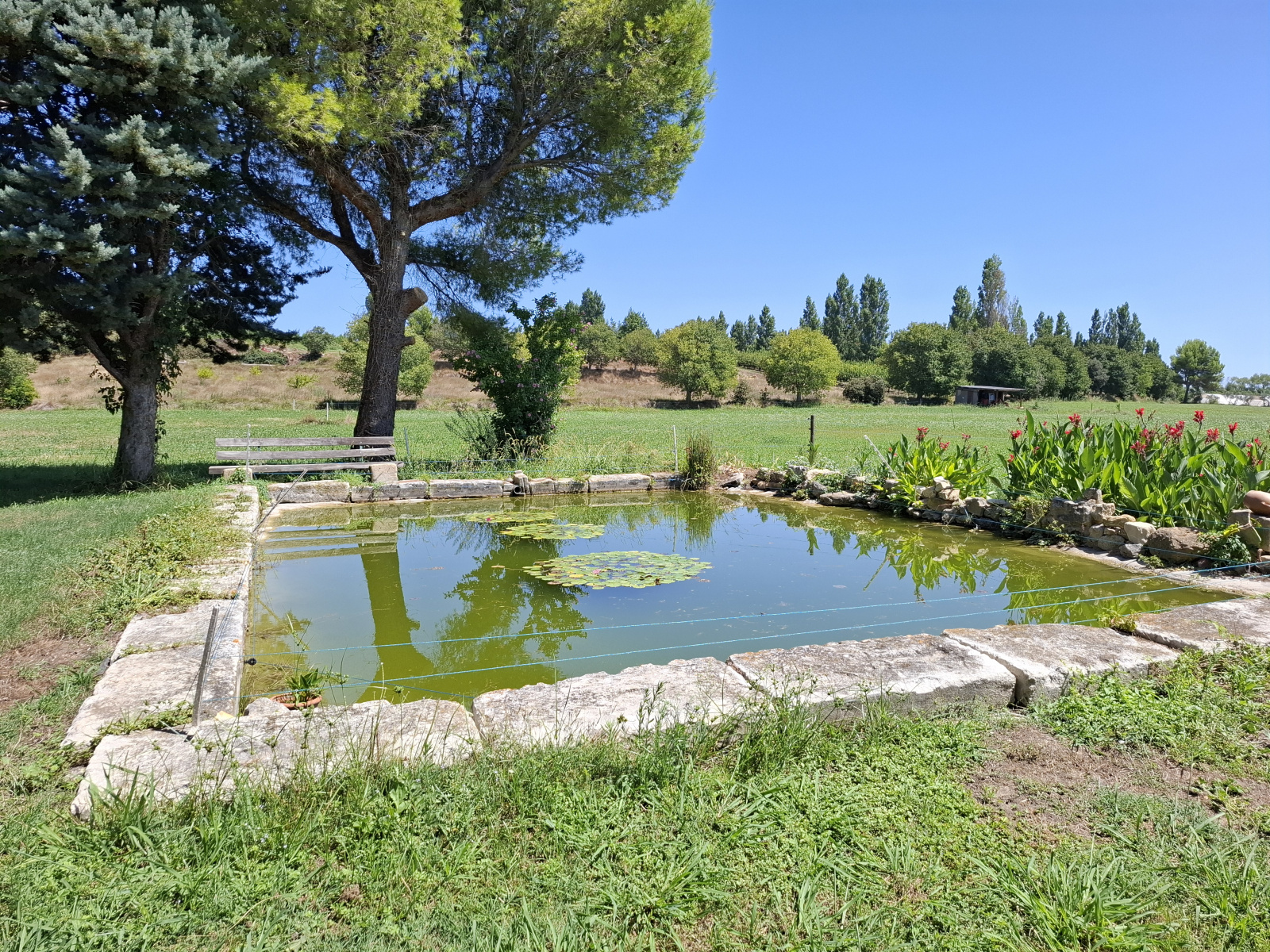 Image_20, Propriete, Fontvieille, ref :2026.067