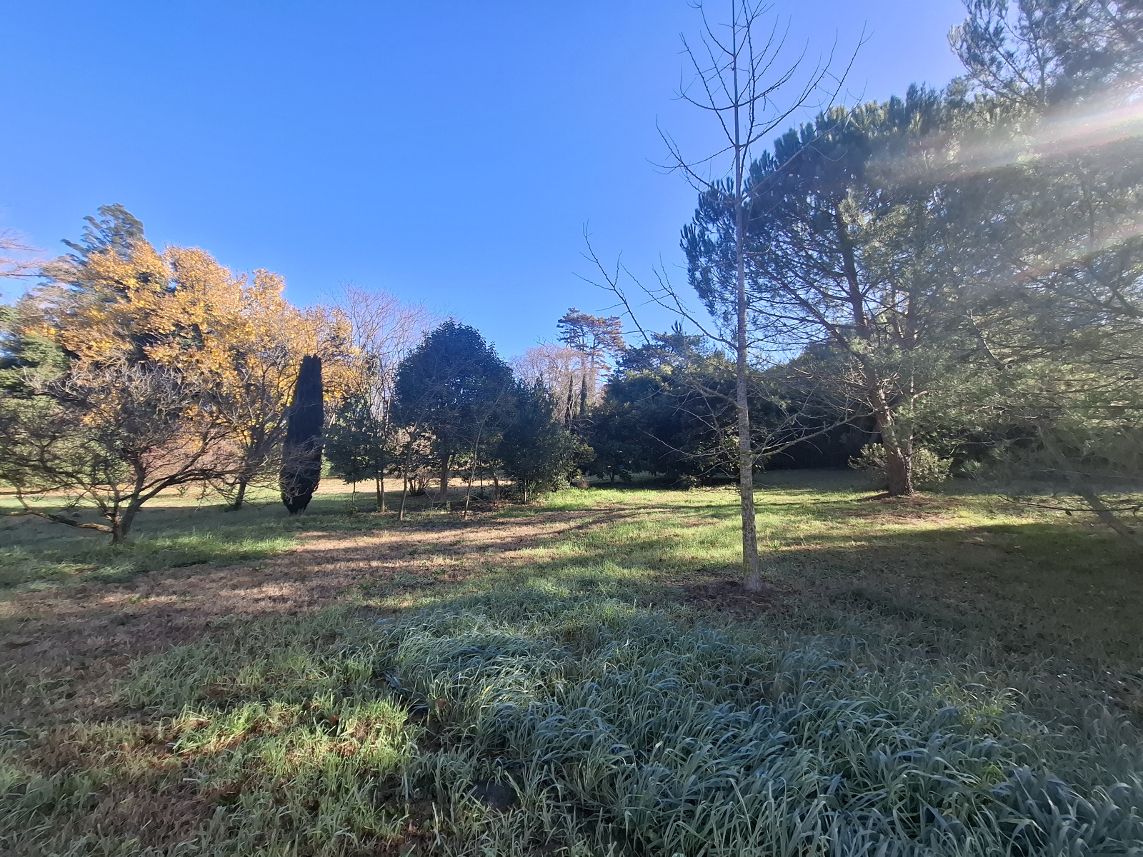 Image_5, Mas, Arles, ref :2025.051