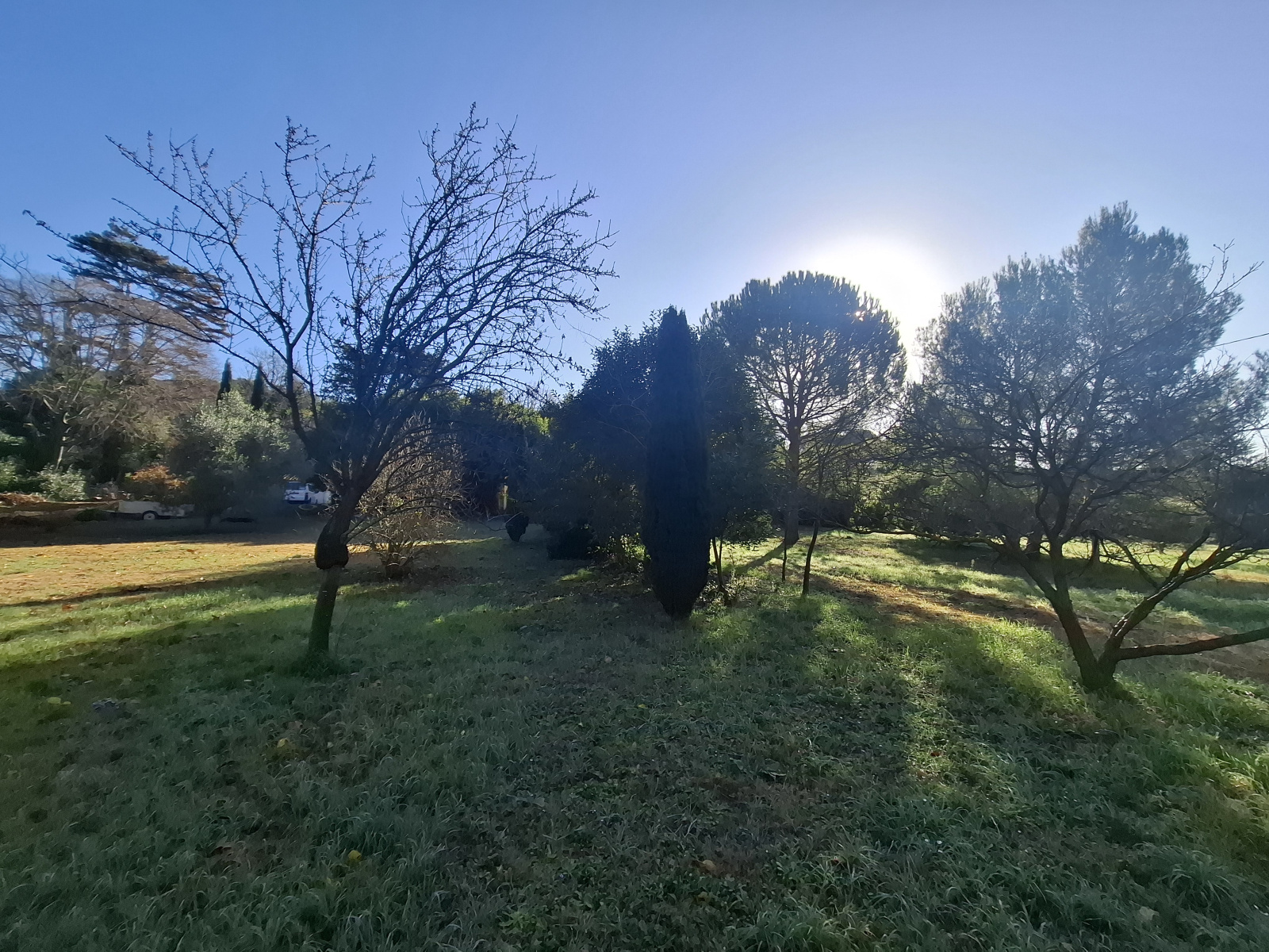 Image_11, Mas, Arles, ref :2025.051