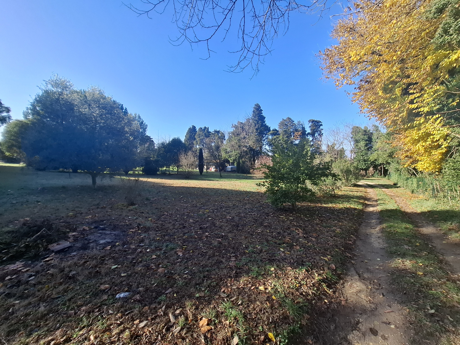 Image_12, Mas, Arles, ref :2025.051