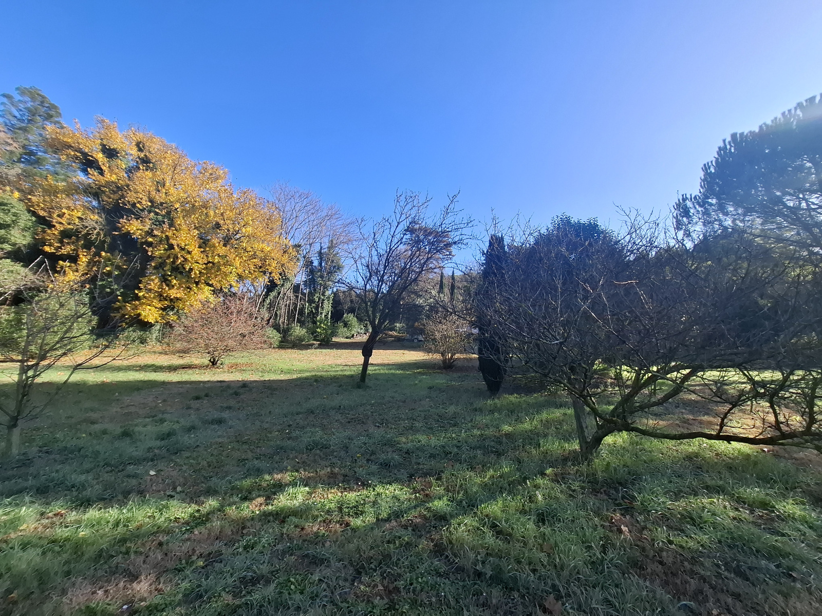 Image_2, Mas, Arles, ref :2025.051