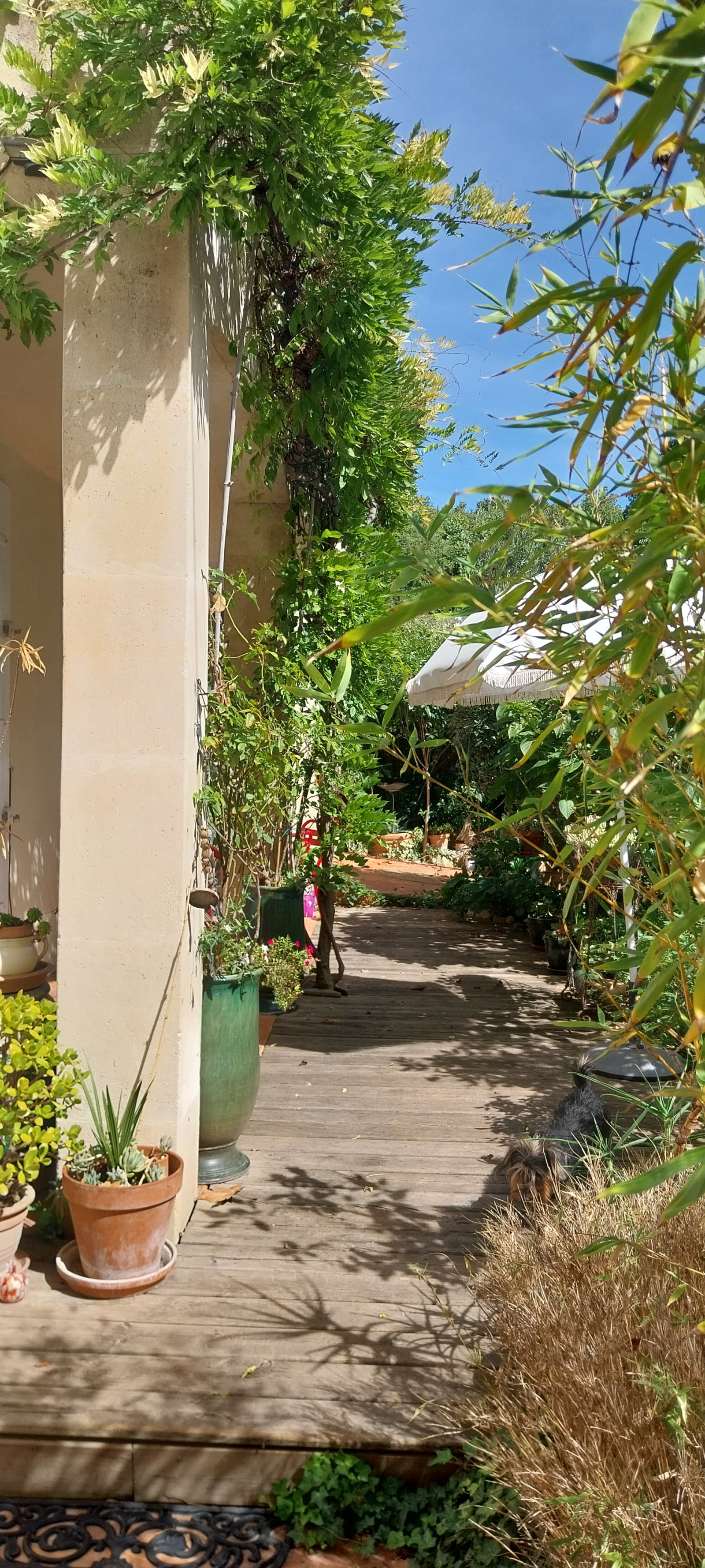 Image_6, Maison de village, Fontvieille, ref :2025..041