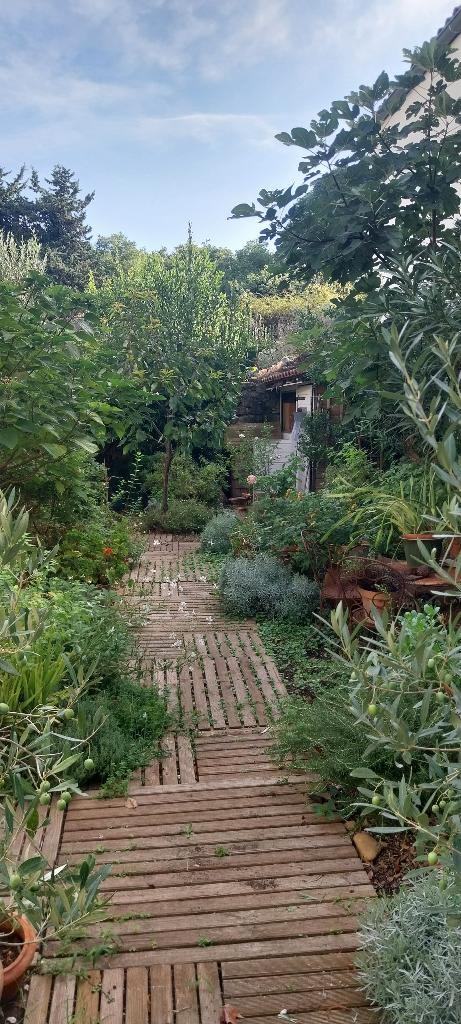 Image_7, Maison de village, Fontvieille, ref :2025..041