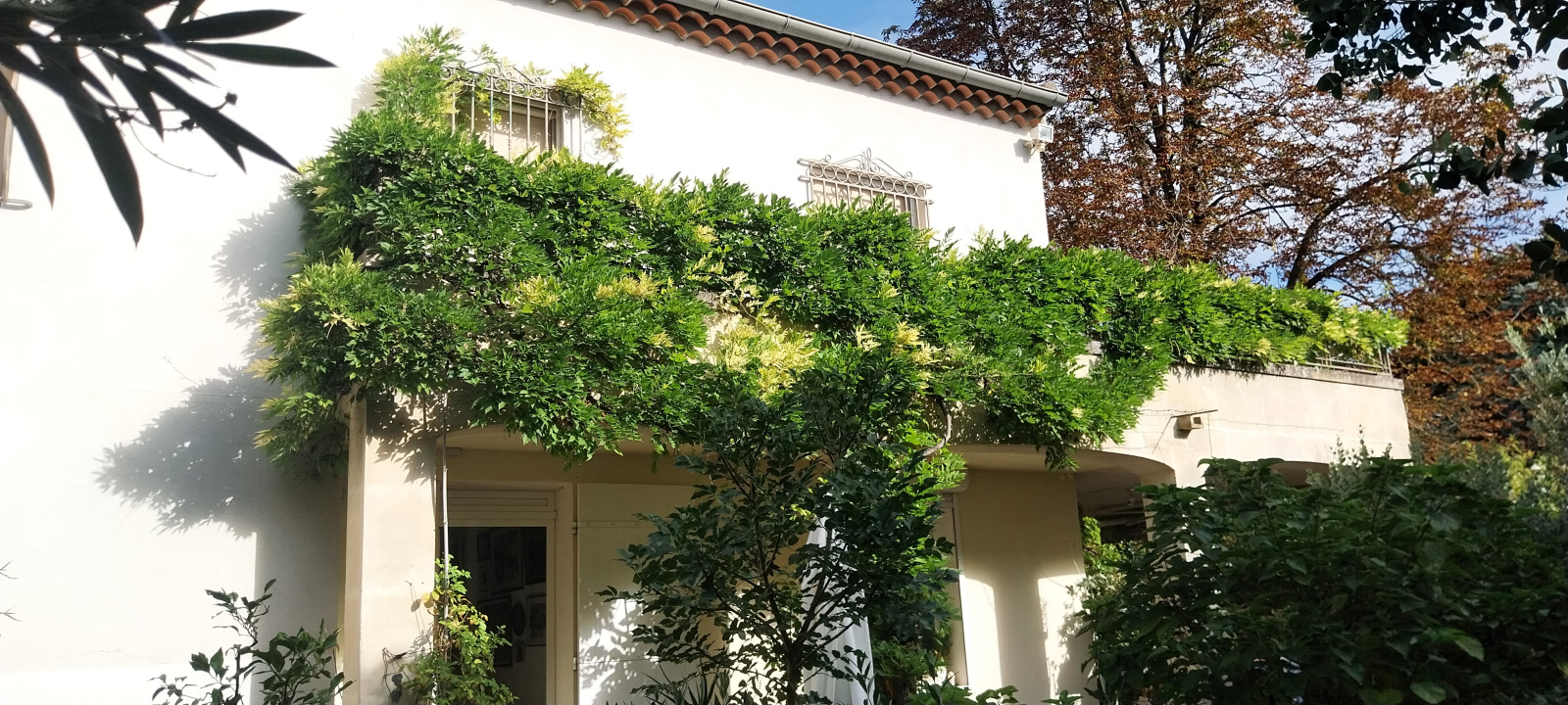 Image_4, Maison de village, Fontvieille, ref :2025..041