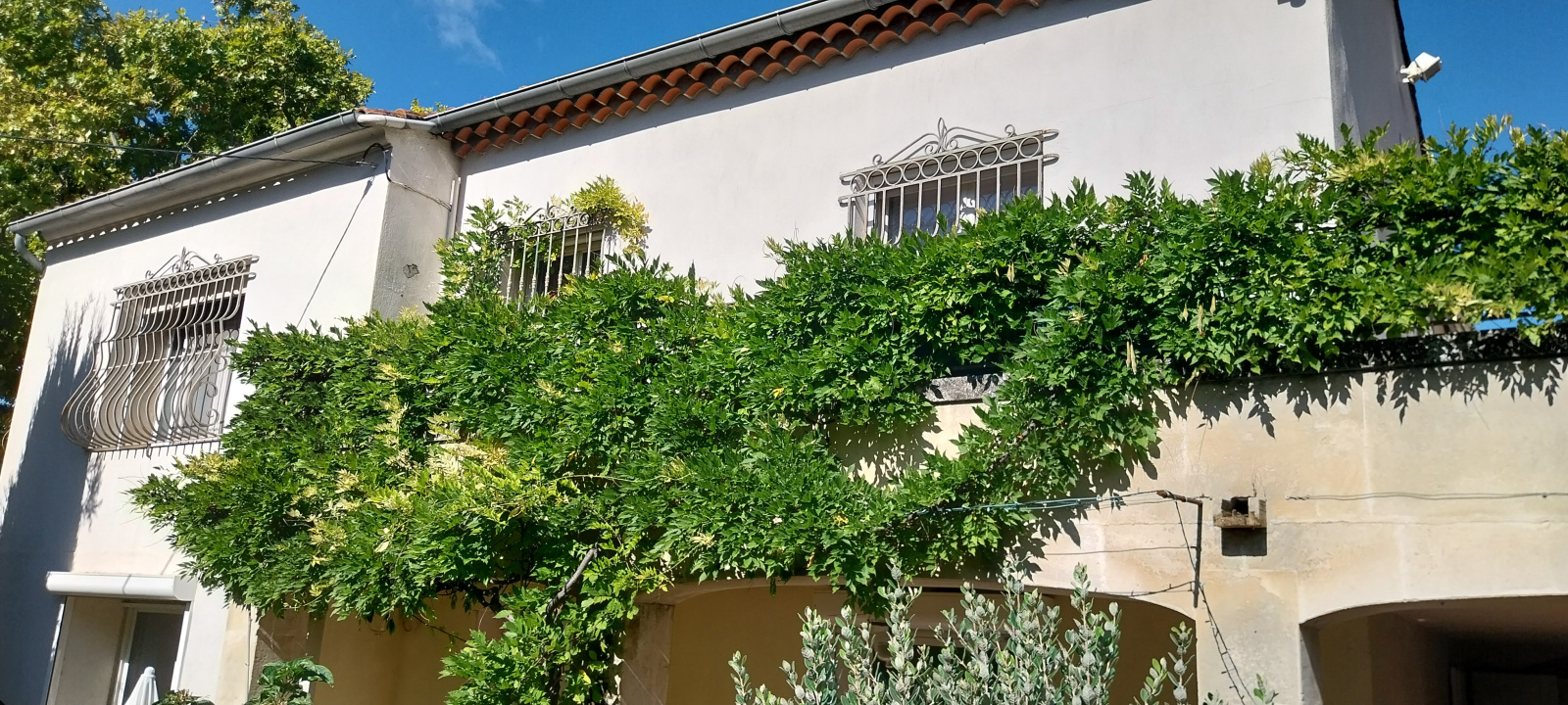 Image_5, Maison de village, Fontvieille, ref :2025..041