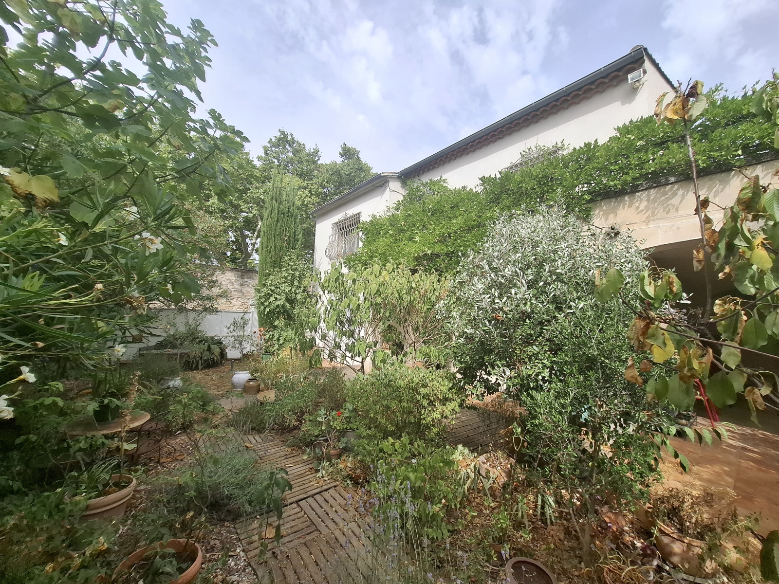 Image_4, Maison de village, Fontvieille, ref :2025..041