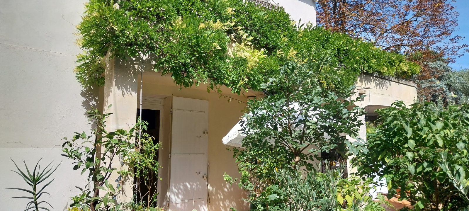 Image_8, Maison de village, Fontvieille, ref :2025..041