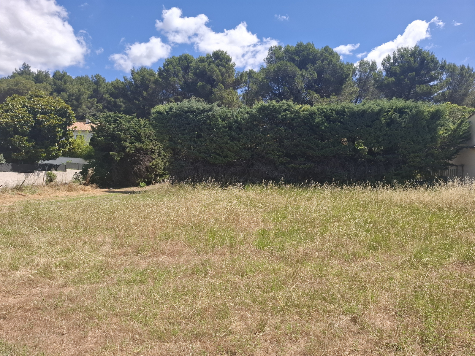 Image_1, Terrain à batir, Fontvieille, ref :2026.063