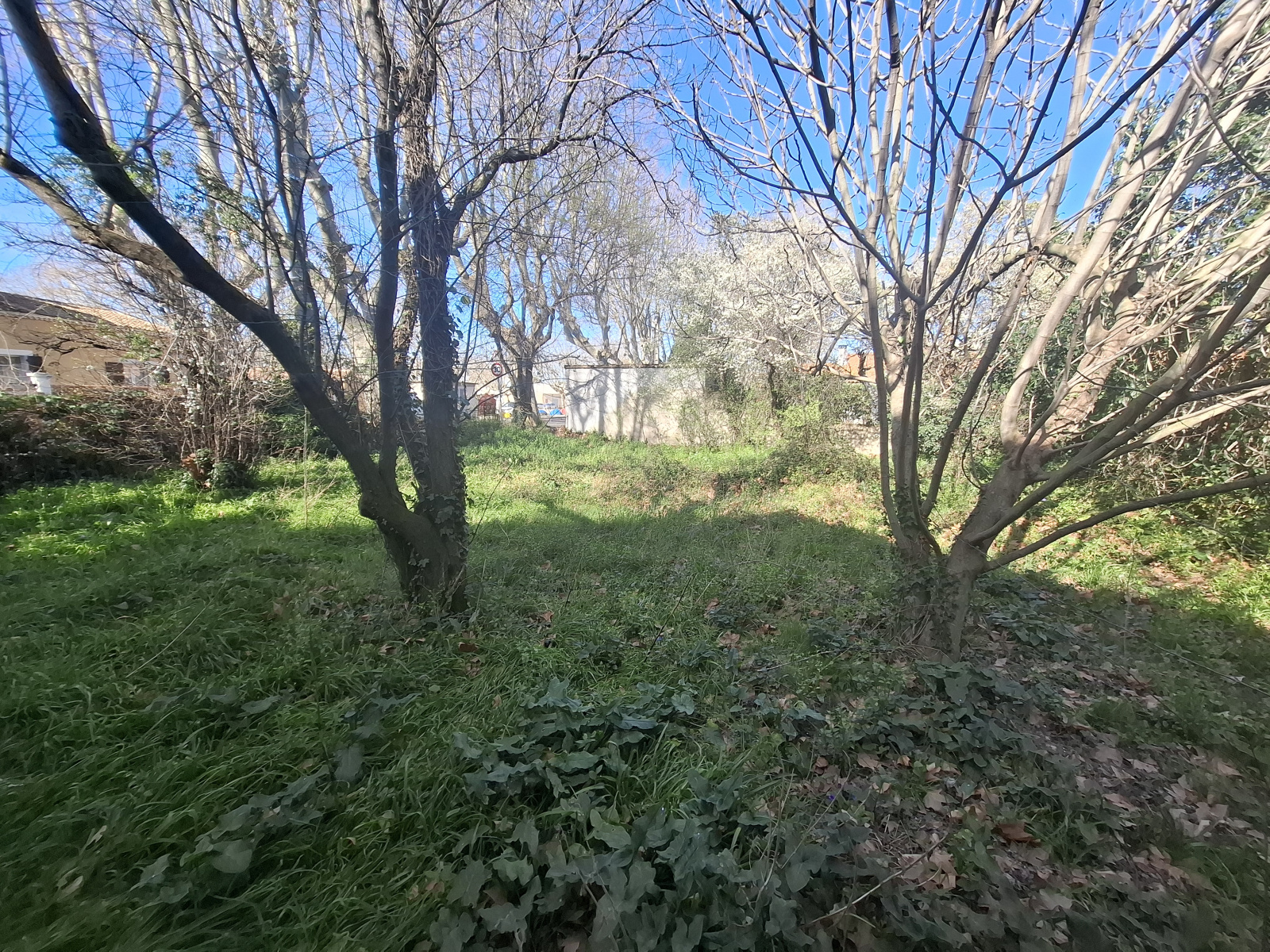 Image_9, Terrain à batir, Saint-Martin-de-Crau, ref :2026.052