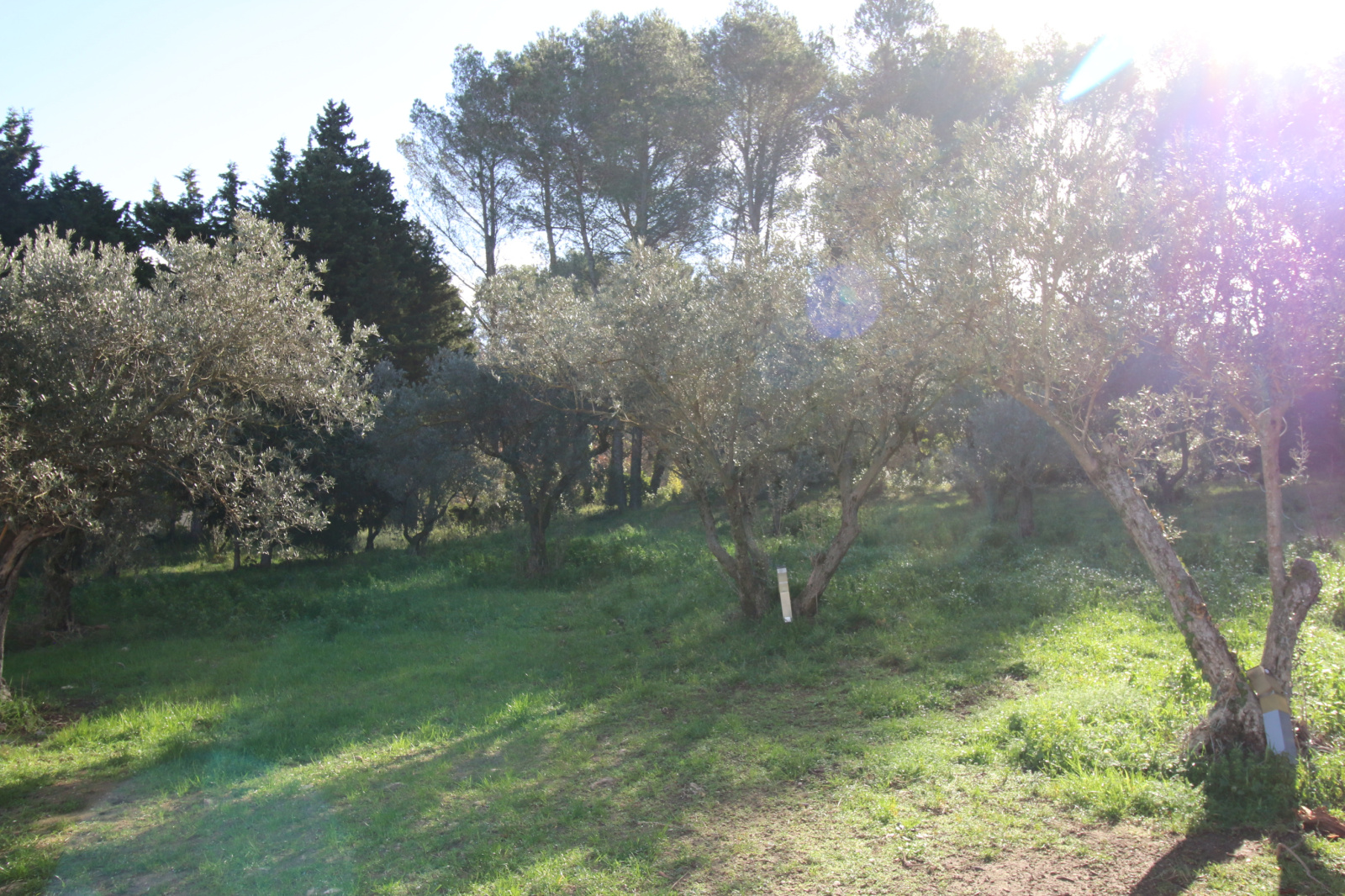 Image_4, Appartement, Fontvieille, ref :L.2025.016