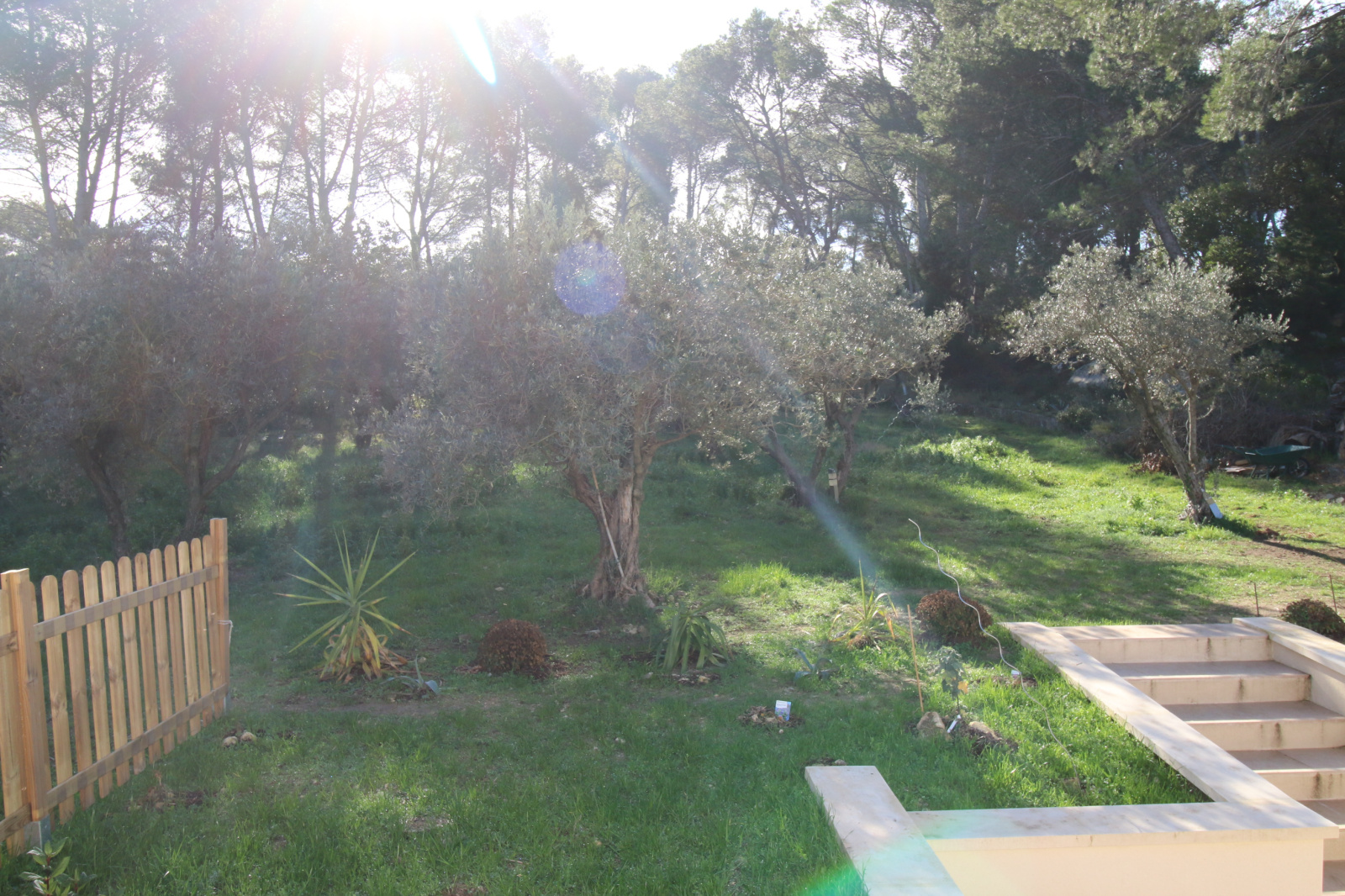 Image_6, Appartement, Fontvieille, ref :L.2025.016