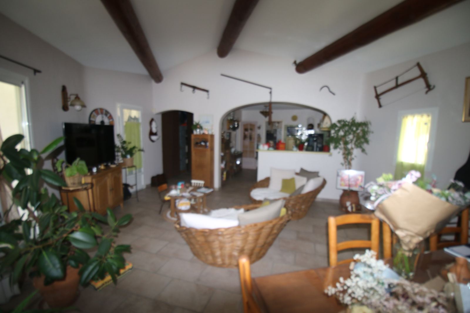 Image_10, Villa, Fontvieille, ref :2023.010