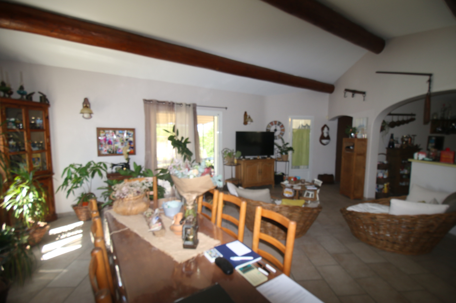 Image_9, Villa, Fontvieille, ref :2023.010