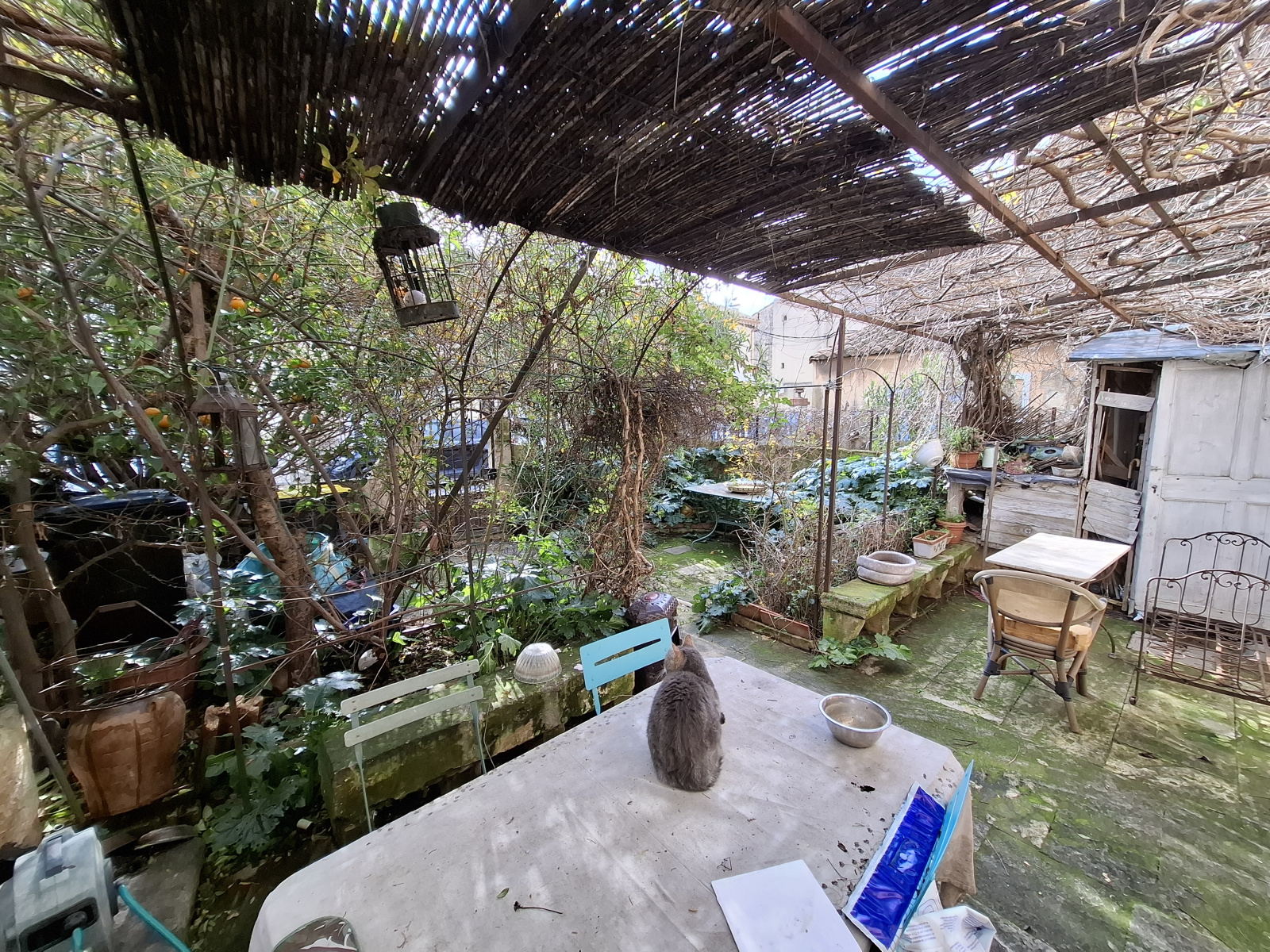 Image_4, Maison de village, Fontvieille, ref :2026.053