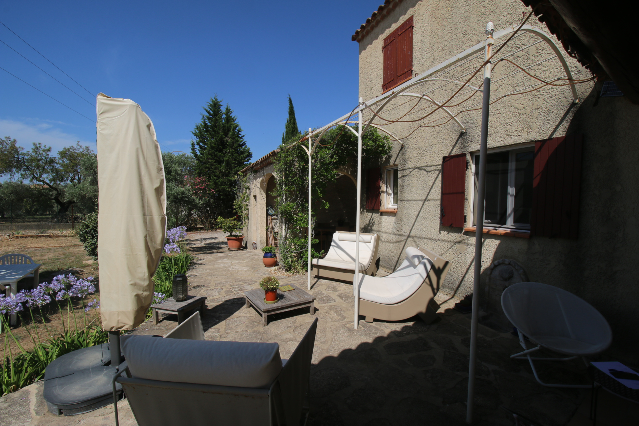 Photo 4